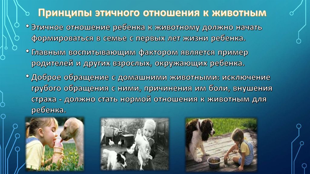 Пример отношения человека к животным