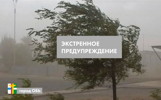 ЭКСТРЕННОЕ ПРЕДУПРЕЖДЕНИЕ 20 июня