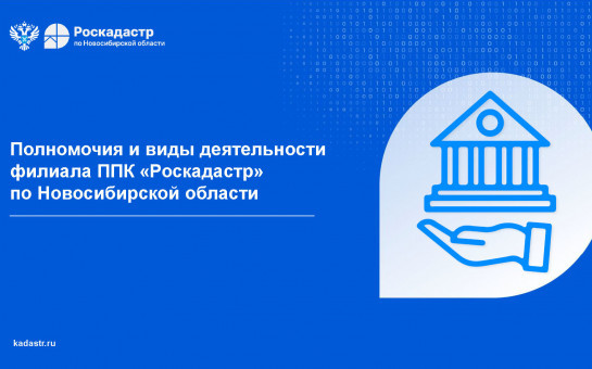 Полномочия и виды деятельности филиала ППК «Роскадастр» по Новосибирской области